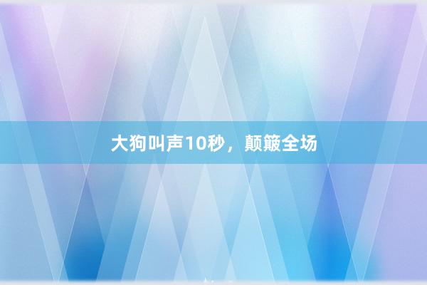 大狗叫声10秒，颠簸全场